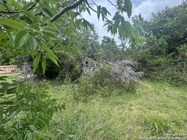 Image 17 of 36 For Lot 10 Browning