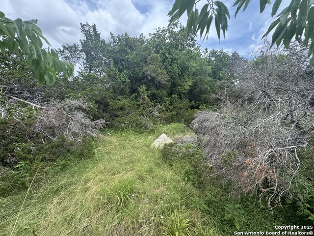 Image 19 of 36 For Lot 10 Browning