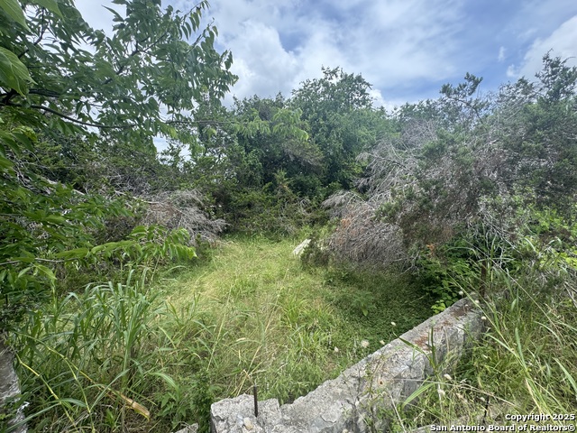 Image 22 of 36 For Lot 10 Browning