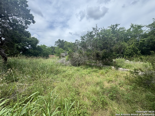 Image 23 of 36 For Lot 10 Browning