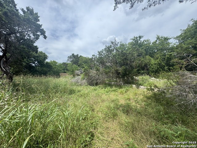 Image 24 of 36 For Lot 10 Browning