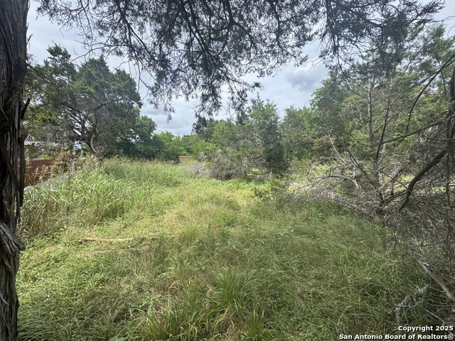 Image 26 of 36 For Lot 10 Browning