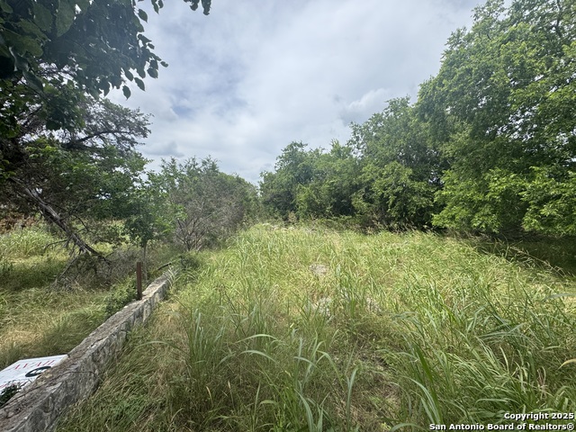 Image 27 of 36 For Lot 10 Browning