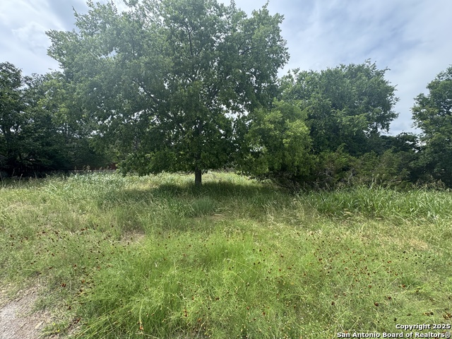 Image 4 of 36 For Lot 10 Browning