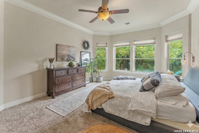 Image 18 of 39 For 18506 Golden Maize