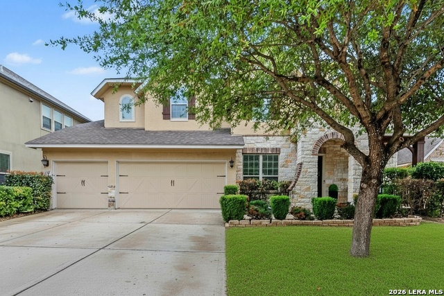 Image 2 of 39 For 18506 Golden Maize