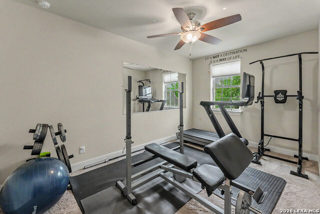 Image 26 of 39 For 18506 Golden Maize