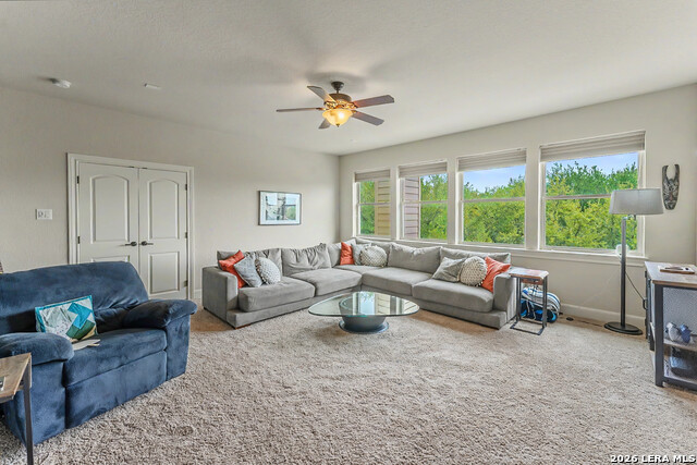 Image 34 of 39 For 18506 Golden Maize