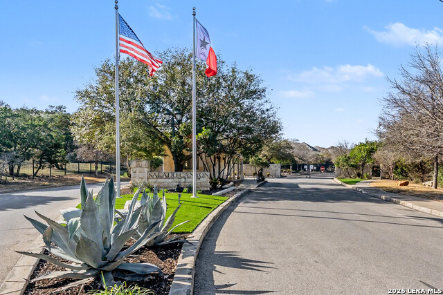 Image 39 of 39 For 18506 Golden Maize