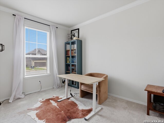 Listing photo id 7 for 198 Orange  