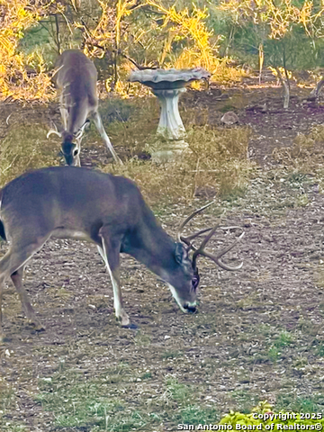 Image 2 of 48 For 23 Waring Rd