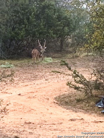 Image 9 of 48 For 23 Waring Rd