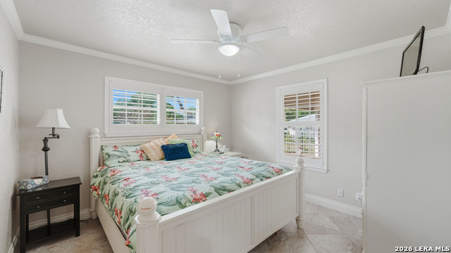 Image 36 of 50 For 156 Trelawney