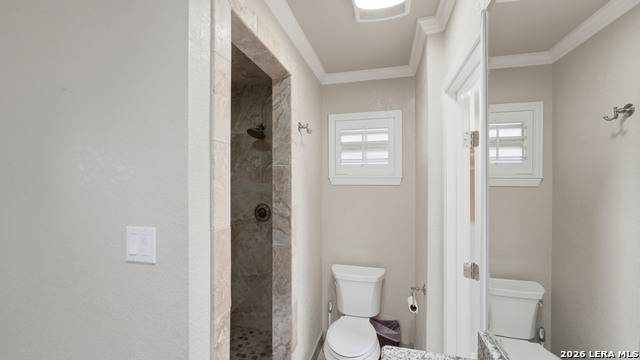 Image 40 of 50 For 156 Trelawney