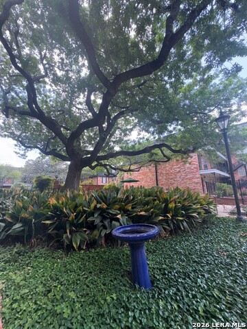 Image 17 of 25 For 8401 New Braunfels Ave N 245