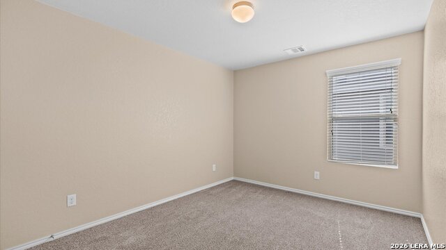 Image 13 of 19 For 5251 Honeyflower