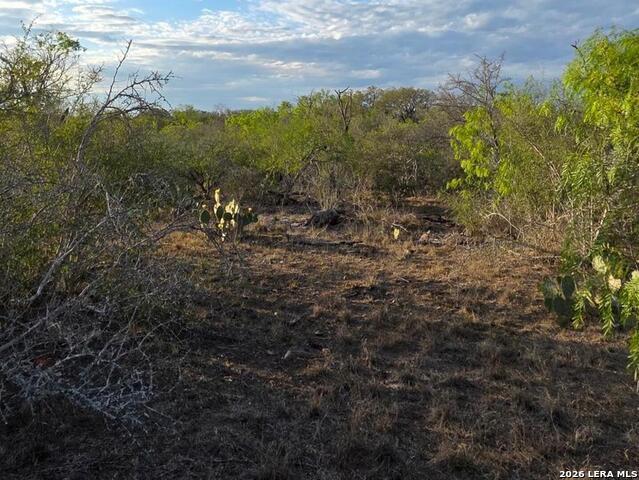 Image 17 of 28 For 4029 County Road 117