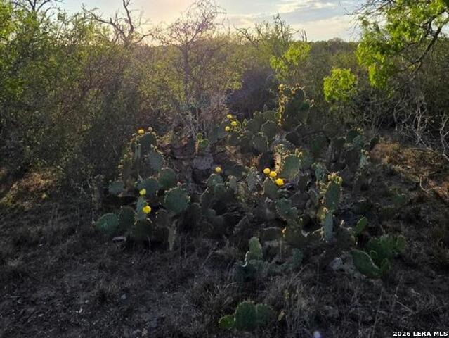 Image 18 of 28 For 4029 County Road 117