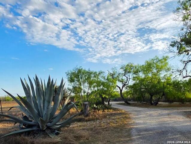 Image 22 of 28 For 4029 County Road 117