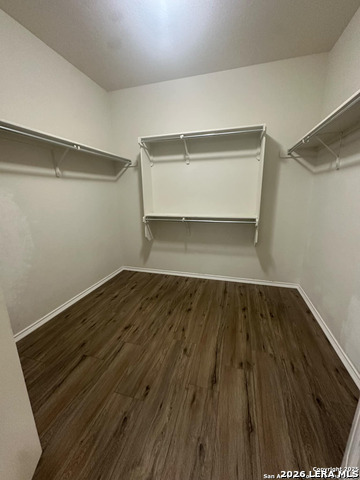 Image 14 of 23 For 10811 Yaupon Holly