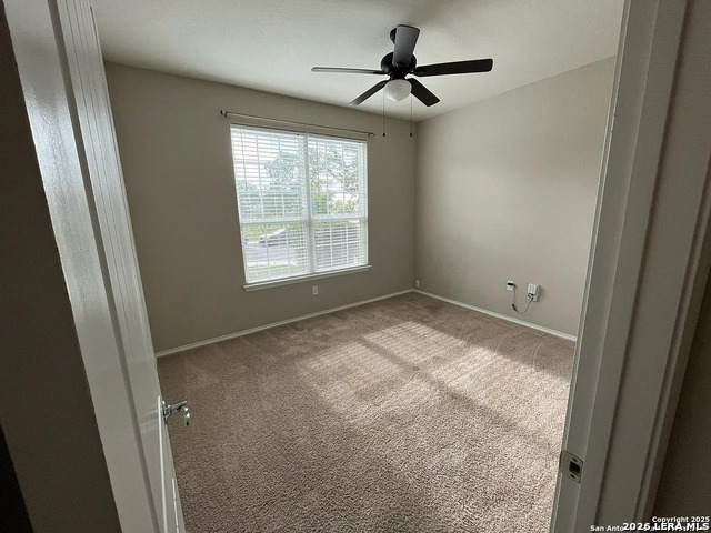 Image 15 of 23 For 10811 Yaupon Holly