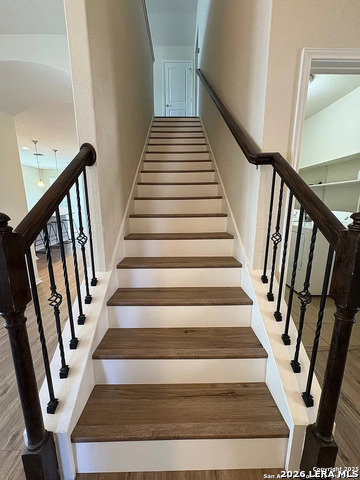 Image 17 of 23 For 10811 Yaupon Holly