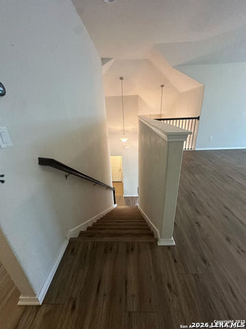 Image 18 of 23 For 10811 Yaupon Holly