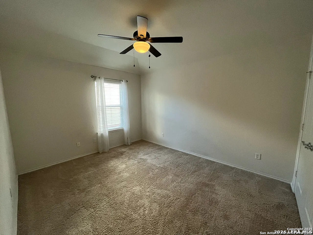 Image 20 of 23 For 10811 Yaupon Holly