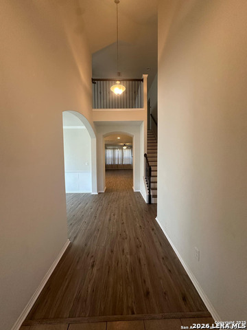 Image 3 of 23 For 10811 Yaupon Holly