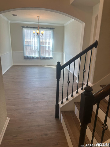 Image 5 of 23 For 10811 Yaupon Holly