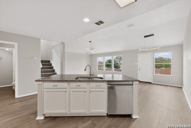 Image 11 of 38 For 11002 Funny Cide