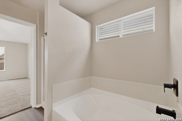 Image 19 of 38 For 11002 Funny Cide