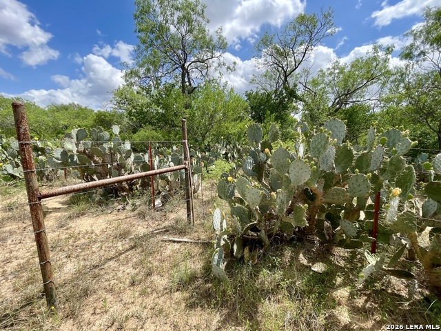 Image 12 of 12 For 2566 Fm 539  