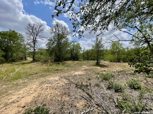 Image 2 of 12 For 2566 Fm 539  