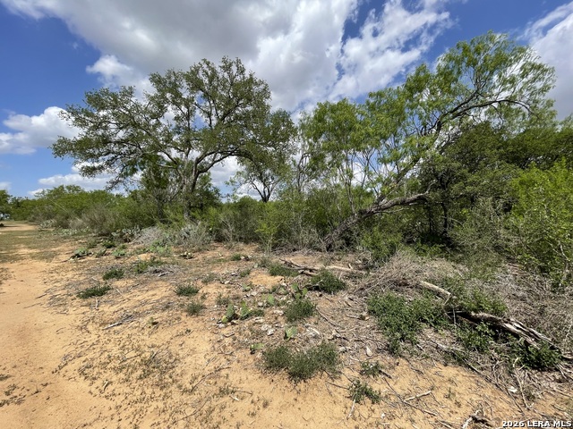 Image 7 of 12 For 2566 Fm 539  