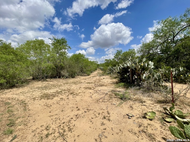 Image 9 of 12 For 2566 Fm 539  