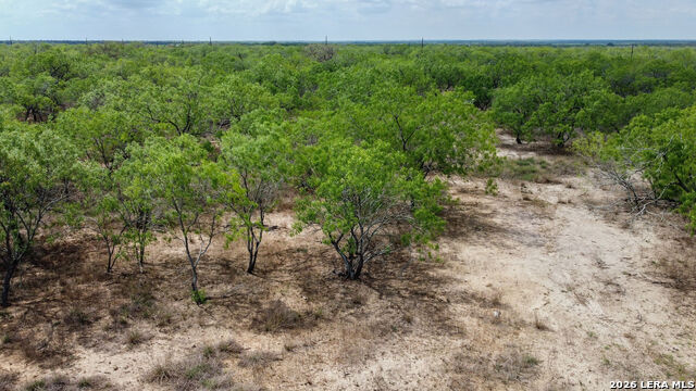 Listing photo id 9 for 247 Western Ln