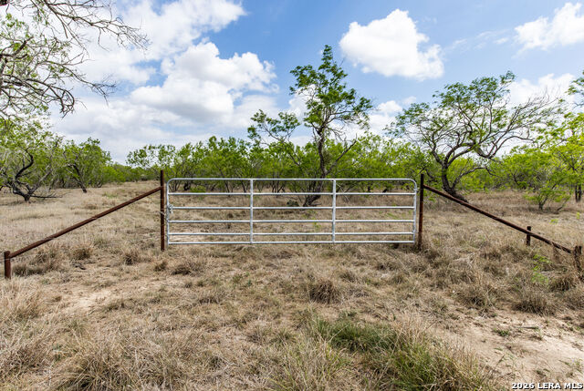 Listing photo id 3 for 247 Western Ln