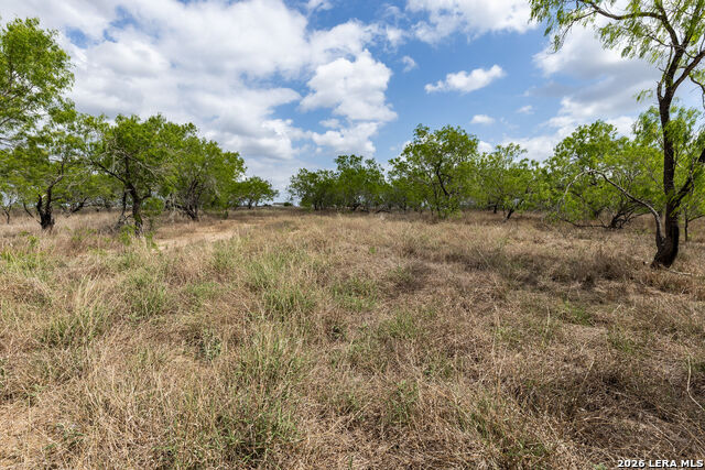 Listing photo id 4 for 247 Western Ln