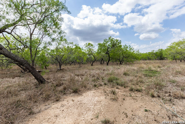 Listing photo id 6 for 247 Western Ln