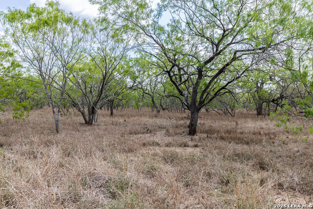 Listing photo id 7 for 247 Western Ln