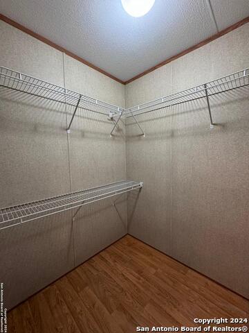 Image 13 of 25 For 244 Cactus Wren Loop