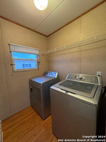 Image 14 of 25 For 244 Cactus Wren Loop