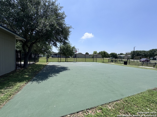 Image 24 of 25 For 244 Cactus Wren Loop
