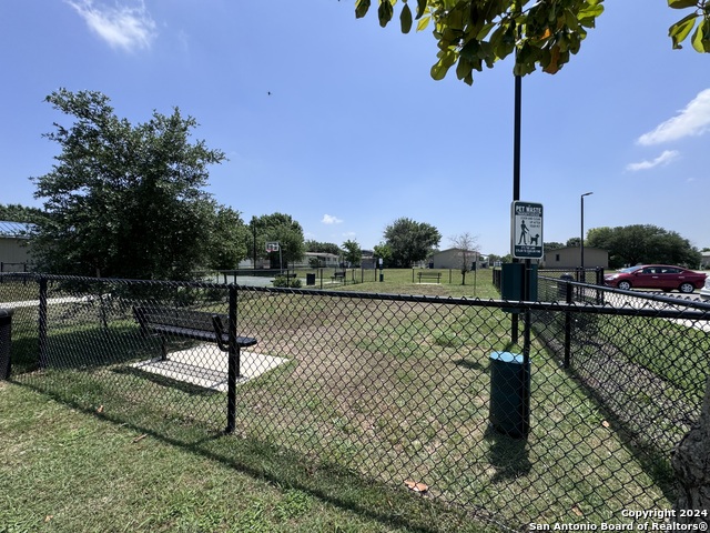 Image 25 of 25 For 244 Cactus Wren Loop