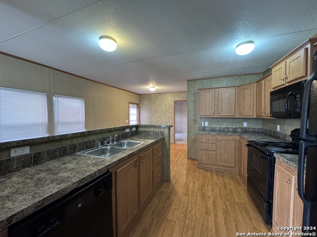 Image 9 of 25 For 244 Cactus Wren Loop