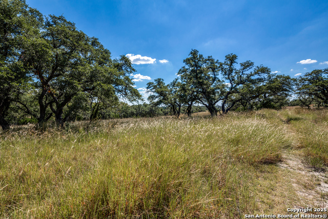 Image 2 of 13 For 190 Fallen Acorn Dr