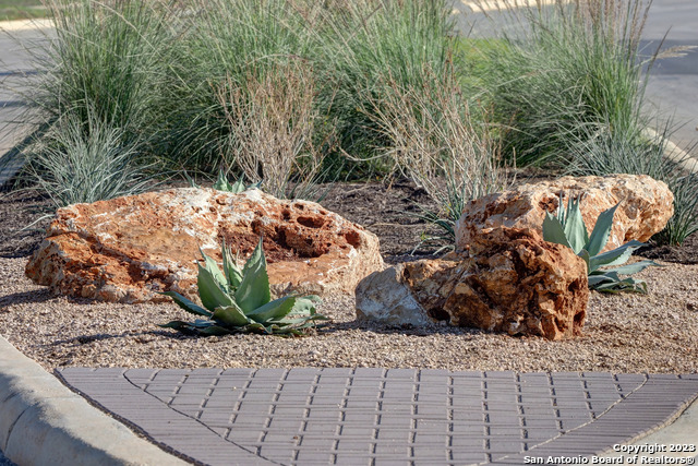 Image 8 of 17 For 636 Bodark Street