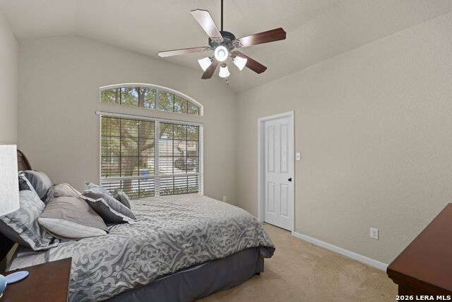 Image 29 of 40 For 2003 Laivita Mist