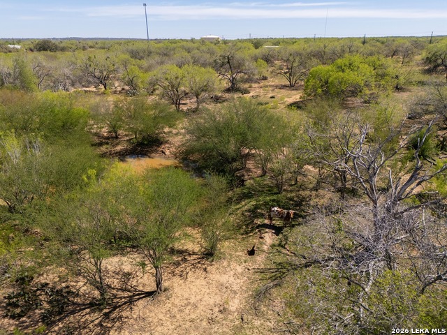 Listing photo id 9 for 1283 Loop 1604 W S